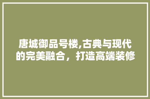唐城御品号楼,古典与现代的完美融合，打造高端装修典范 公共建筑设计