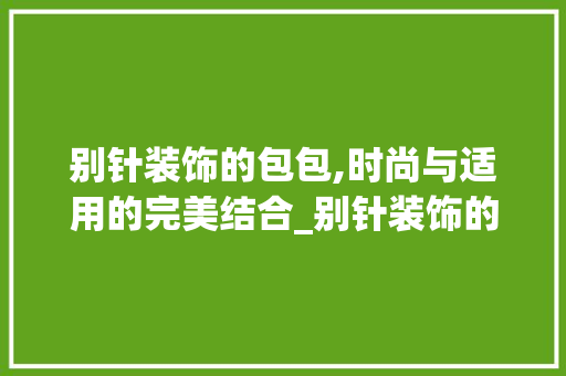别针装饰的包包,时尚与适用的完美结合_别针装饰的包 施工管理