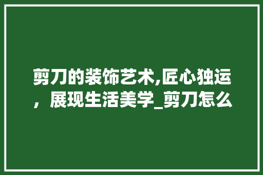 剪刀的装饰艺术,匠心独运，展现生活美学_剪刀怎么装饰 常见问题