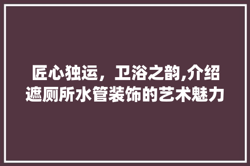 匠心独运，卫浴之韵,介绍遮厕所水管装饰的艺术魅力_遮厕所水管装饰 建筑法规
