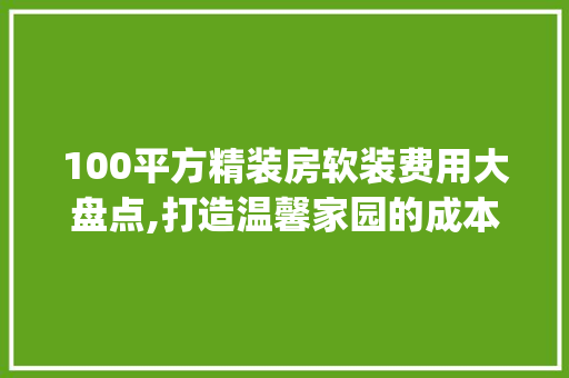 100平方精装房软装费用大盘点,打造温馨家园的成本介绍_100平方精装房软装多少钱一套