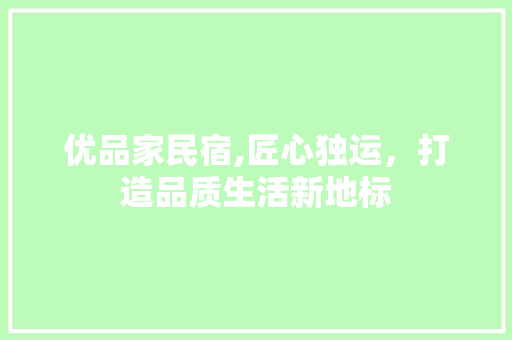 优品家民宿,匠心独运，打造品质生活新地标 施工工艺