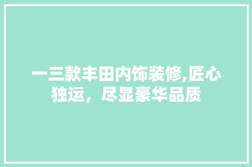 一三款丰田内饰装修,匠心独运，尽显豪华品质 施工技术
