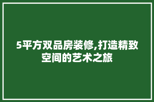 5平方双品房装修,打造精致空间的艺术之旅