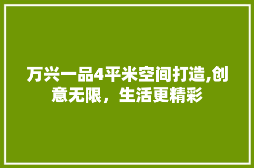 万兴一品4平米空间打造,创意无限，生活更精彩 常用设备