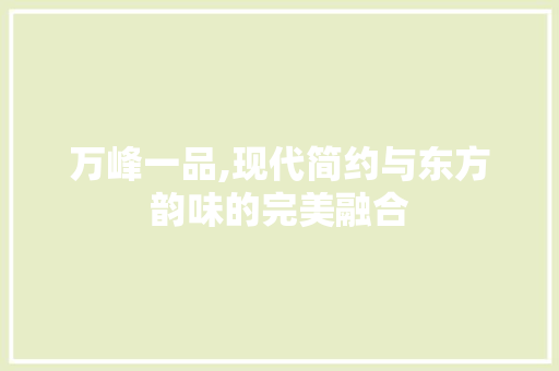 万峰一品,现代简约与东方韵味的完美融合 施工管理