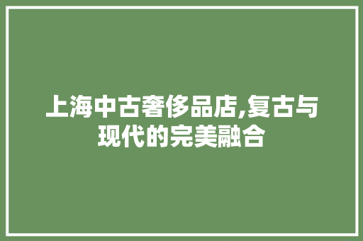 上海中古奢侈品店,复古与现代的完美融合