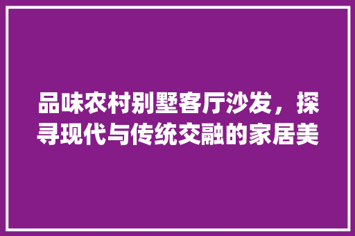 品味农村别墅客厅沙发，探寻现代与传统交融的家居美学_农村别墅客厅沙发图片 住宅建筑设计