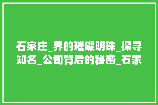 石家庄_界的璀璨明珠_探寻知名_公司背后的秘密_石家庄知名的_公司 工艺流程