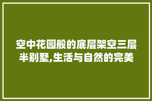 空中花园般的底层架空三层半别墅,生活与自然的完美融合_底层架空三层半别墅图片