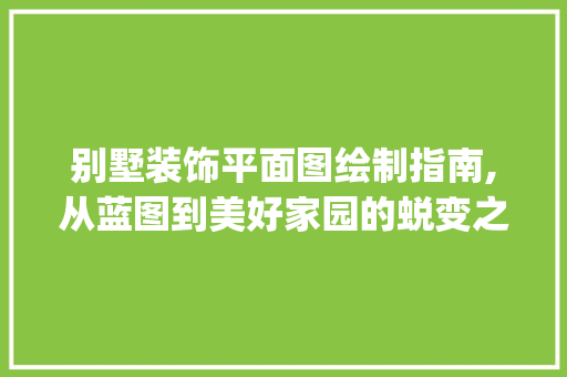 别墅装饰平面图绘制指南,从蓝图到美好家园的蜕变之路_别墅装饰平面图怎么画的