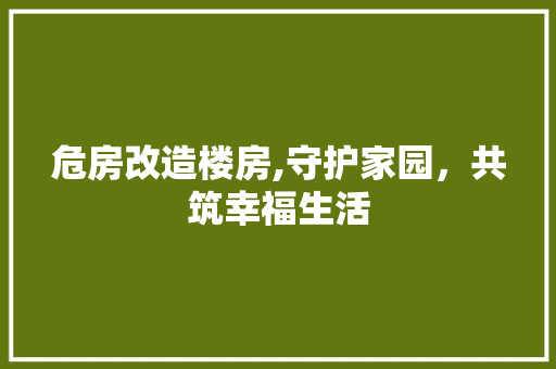 危房改造楼房,守护家园，共筑幸福生活 生态建筑设计