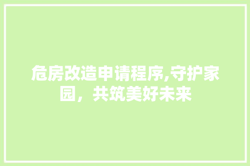 危房改造申请程序,守护家园，共筑美好未来 建筑法规