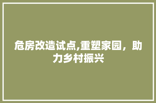 危房改造试点,重塑家园，助力乡村振兴 建筑法规