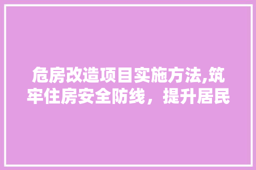 危房改造项目实施方法,筑牢住房安全防线，提升居民生活品质 设计原则
