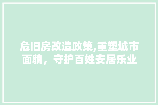 危旧房改造政策,重塑城市面貌，守护百姓安居乐业