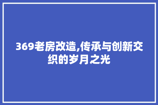 369老房改造,传承与创新交织的岁月之光