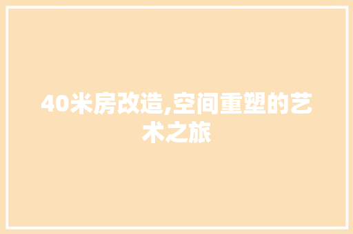 40米房改造,空间重塑的艺术之旅