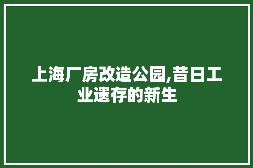 上海厂房改造公园,昔日工业遗存的新生 施工技术