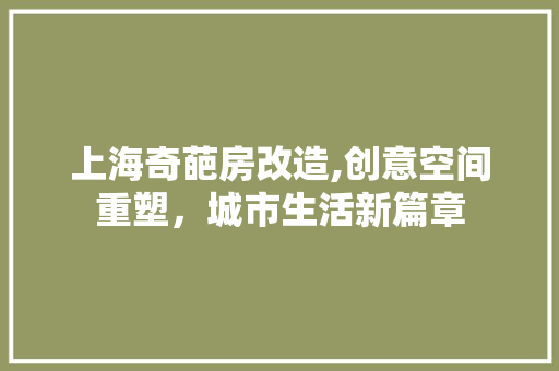 上海奇葩房改造,创意空间重塑，城市生活新篇章 生态建筑设计