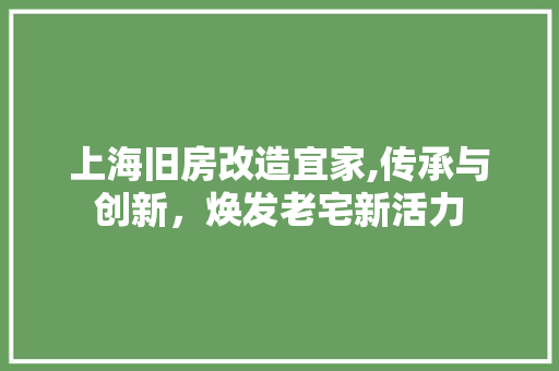 上海旧房改造宜家,传承与创新，焕发老宅新活力 工艺流程