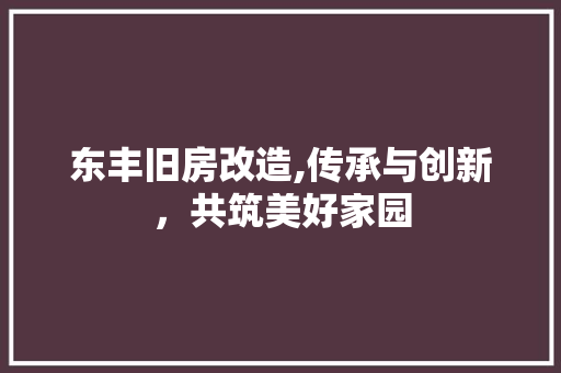 东丰旧房改造,传承与创新，共筑美好家园 住宅建筑设计