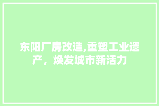 东阳厂房改造,重塑工业遗产，焕发城市新活力 工艺流程