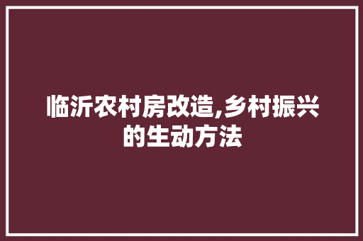 临沂农村房改造,乡村振兴的生动方法
