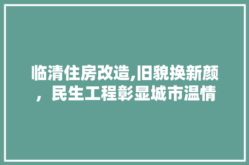 临清住房改造,旧貌换新颜，民生工程彰显城市温情