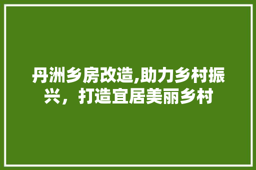 丹洲乡房改造,助力乡村振兴，打造宜居美丽乡村 施工管理
