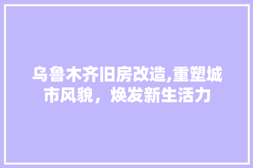 乌鲁木齐旧房改造,重塑城市风貌，焕发新生活力 常用设备