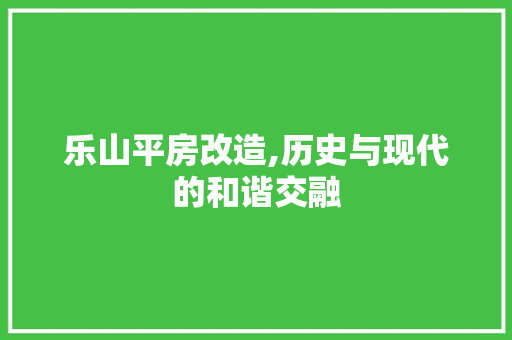 乐山平房改造,历史与现代的和谐交融 设计原则