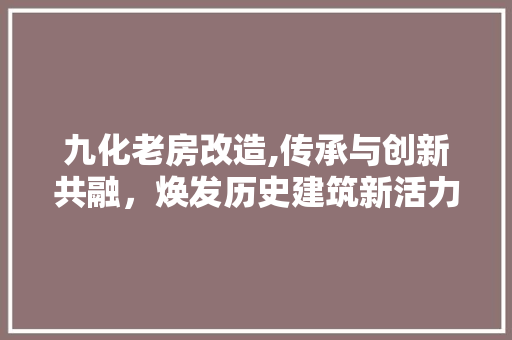 九化老房改造,传承与创新共融，焕发历史建筑新活力 常用建材