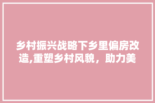 乡村振兴战略下乡里偏房改造,重塑乡村风貌，助力美好生活 建筑设计