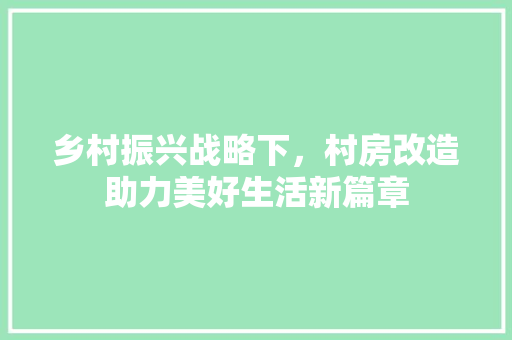 乡村振兴战略下，村房改造助力美好生活新篇章 材料设备