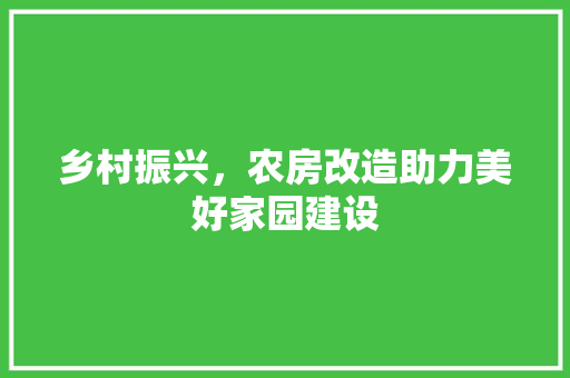 乡村振兴，农房改造助力美好家园建设