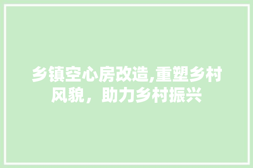 乡镇空心房改造,重塑乡村风貌，助力乡村振兴