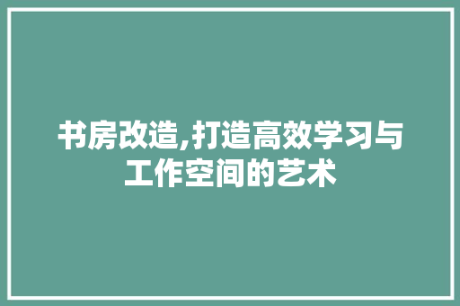 书房改造,打造高效学习与工作空间的艺术 施工管理