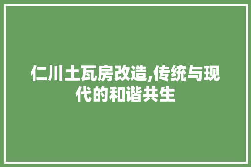 仁川土瓦房改造,传统与现代的和谐共生