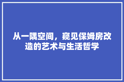从一隅空间，窥见保姆房改造的艺术与生活哲学 设计原则