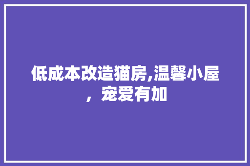低成本改造猫房,温馨小屋，宠爱有加