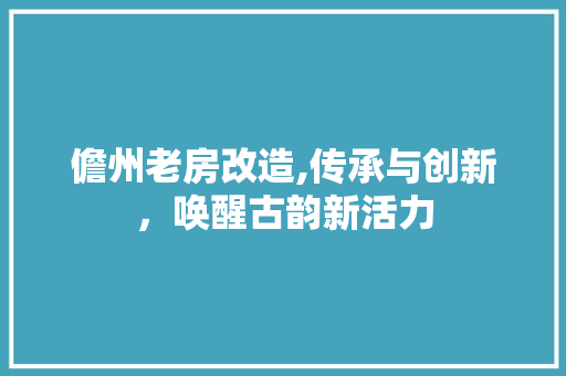 儋州老房改造,传承与创新，唤醒古韵新活力