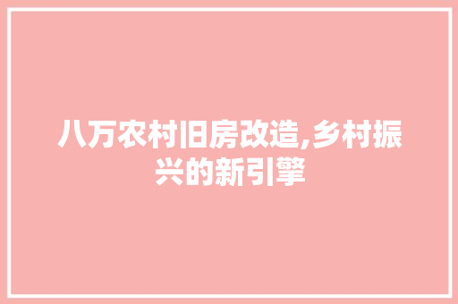 八万农村旧房改造,乡村振兴的新引擎