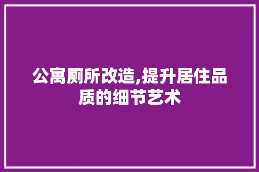 公寓厕所改造,提升居住品质的细节艺术
