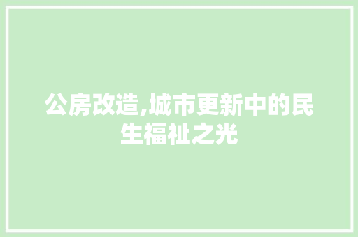 公房改造,城市更新中的民生福祉之光