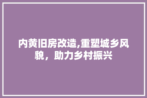 内黄旧房改造,重塑城乡风貌，助力乡村振兴