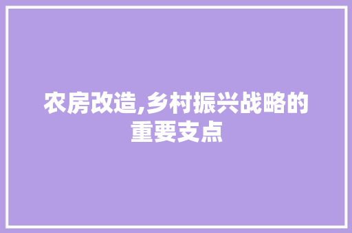 农房改造,乡村振兴战略的重要支点 住宅建筑设计