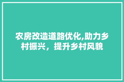 农房改造道路优化,助力乡村振兴，提升乡村风貌 施工技术