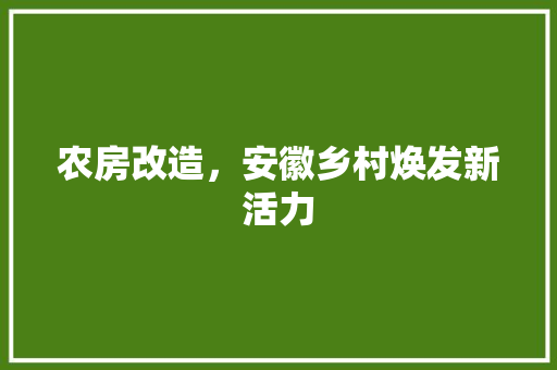 农房改造，安徽乡村焕发新活力