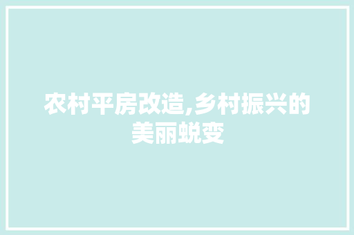 农村平房改造,乡村振兴的美丽蜕变 公共建筑设计